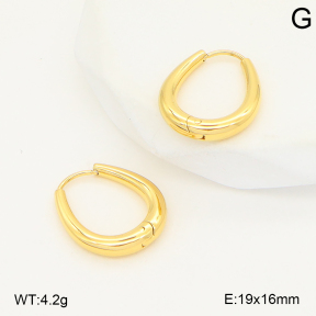 2E2006791vbnl-253  Stainless Steel Earrings