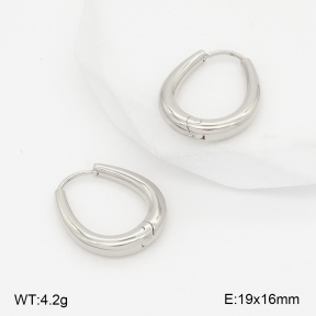 2E2006792bbml-253  Stainless Steel Earrings