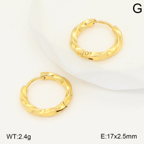 2E2006793vbnl-253  Stainless Steel Earrings