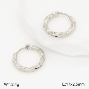 2E2006794bbml-253  Stainless Steel Earrings