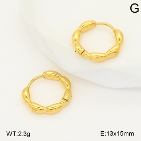 2E2006795vbnl-253  Stainless Steel Earrings
