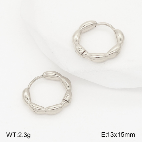 2E2006796bbml-253  Stainless Steel Earrings