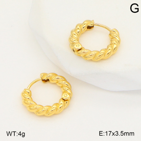 2E2006797vbnl-253  Stainless Steel Earrings