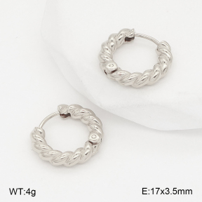 2E2006798bbml-253  Stainless Steel Earrings