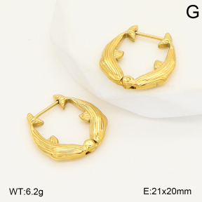 2E2006799vbnl-253  Stainless Steel Earrings