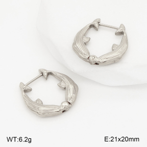 2E2006800bbml-253  Stainless Steel Earrings