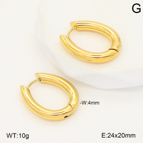 2E2006801vbpb-253  Stainless Steel Earrings