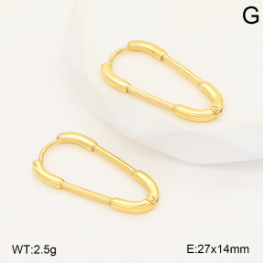 2E2006802vbnl-253  Stainless Steel Earrings