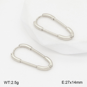 2E2006803bbml-253  Stainless Steel Earrings