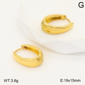 2E2006804vbpb-253  Stainless Steel Earrings