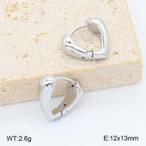 2E2006806vbnb-253  Stainless Steel Earrings