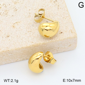 2E2006807ablb-253  Stainless Steel Earrings