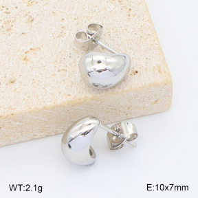 2E2006808aakl-253  Stainless Steel Earrings