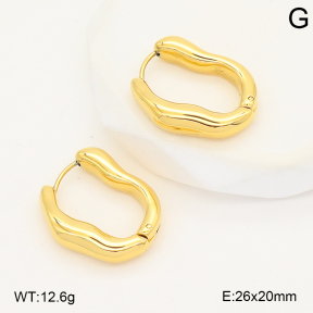2E2006809abol-253  Stainless Steel Earrings