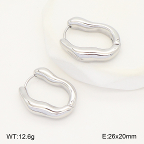 2E2006810vbnl-253  Stainless Steel Earrings