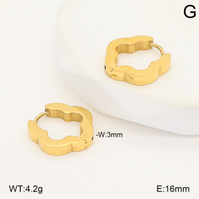2E2006812vbmb-253  Stainless Steel Earrings