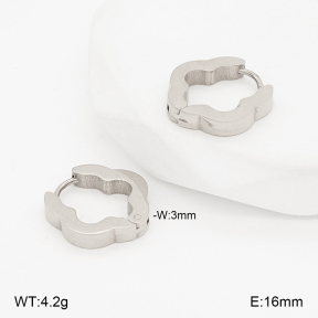 2E2006813ablb-253  Stainless Steel Earrings