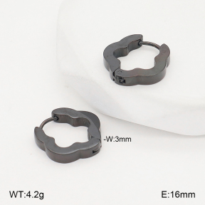 2E2006814vbll-253  Stainless Steel Earrings