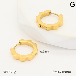 2E2006815vbmb-253  Stainless Steel Earrings