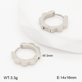 2E2006816ablb-253  Stainless Steel Earrings