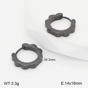 2E2006817vbll-253  Stainless Steel Earrings
