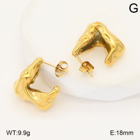 2E2006818bbov-253  Stainless Steel Earrings