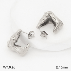 2E2006819vbnb-253  Stainless Steel Earrings