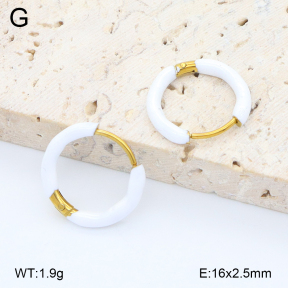 2E3004012aajo-452  Stainless Steel Earrings