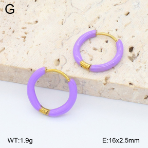 2E3004013aajo-452  Stainless Steel Earrings