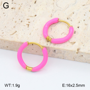 2E3004014aajo-452  Stainless Steel Earrings