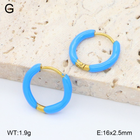 2E3004015aajo-452  Stainless Steel Earrings