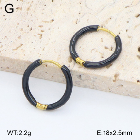 2E3004016aajo-452  Stainless Steel Earrings