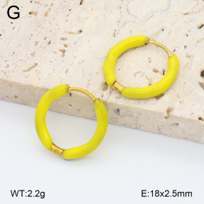 2E3004017aajo-452  Stainless Steel Earrings