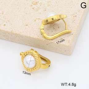2E3004020bboo-209  Stainless Steel Earrings