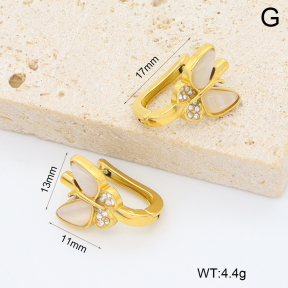 2E4005003bbpo-209  Stainless Steel Earrings