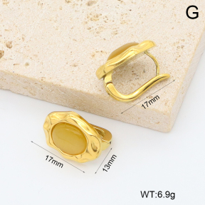2E4005004bbpi-209  Stainless Steel Earrings