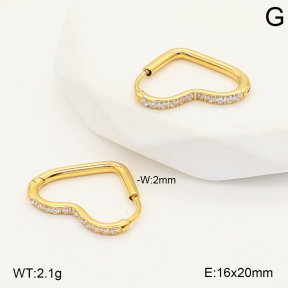 2E4005005ahjb-253  Stainless Steel Earrings