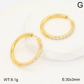 2E4005006ahlv-253  Stainless Steel Earrings