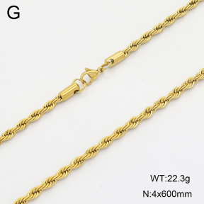 2N2008402aakl-452  Stainless Steel Necklace