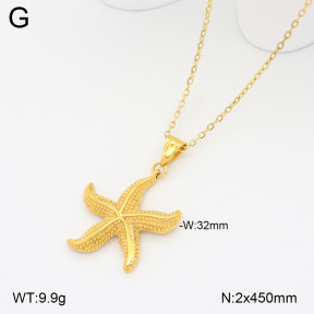 2N2008453vhkb-209  Stainless Steel Necklace