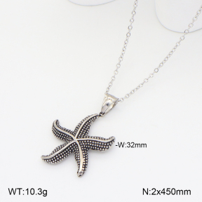2N2008454bhia-209  Stainless Steel Necklace
