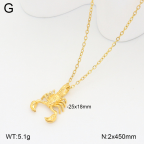 2N2008457ahlv-209  Stainless Steel Necklace