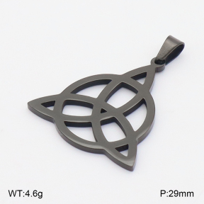 2P2005766bhia-209  Stainless Steel Pendant