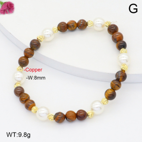 F2B402733bhva-J39  Fashion Bracelet