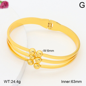 F2BA20176bbov-J39  Fashion Bangle