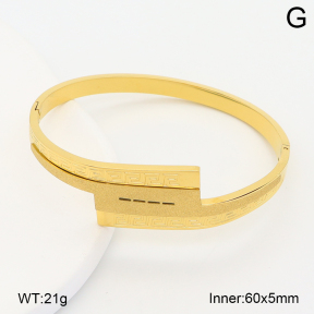 2BA202590vhha-708  Stainless Steel Bangle