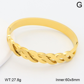 2BA202596vhha-708  Stainless Steel Bangle