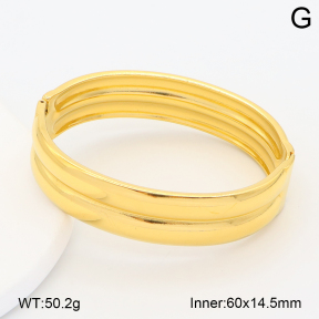 2BA202600vhha-708  Stainless Steel Bangle