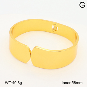 2BA202602vhha-708  Stainless Steel Bangle