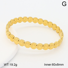 2BA202611vbpb-708  Stainless Steel Bangle